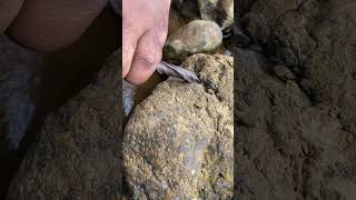 Rock Drilling Hack EXPOSES Mineral Riches goldfinder gold rockcracking rockhounding shorts [upl. by Danika]