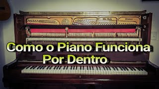 Como Funciona o Piano por Dentro [upl. by Einittirb971]