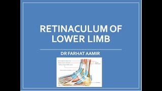 Retinaculum of Lower Limb [upl. by Aitsirk]