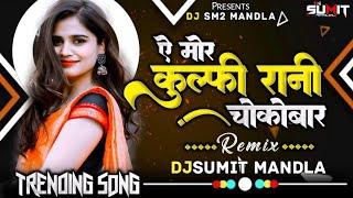 Insta Trending Song Mor Kulfi Rani Cg Dj Song 2024 Dance Mix Song 2024 Djsumit Mandla Roadshow Mix [upl. by Llertniuq]