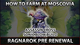 How to Farm at Moscovia with Assassin Cross Sonic Blow Ragnarok Pre Renewal [upl. by Llerrehc523]