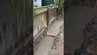 Brickwork Concrete foundation pouring ASMR construction satisfying asmrsounds [upl. by Okire]