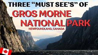 The Most Amazing Three Places to See in Gros Morne National Park [upl. by Eibrik]