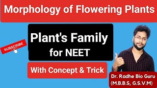 Important Families of Angiosperm Morphology of plants  NEET 2024 With best trick  Dr Radhe Guru [upl. by Shirlee]