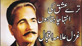 Tere Ishq Ki Inteha Chahta Hoon  Allama Iqbal Poetry In Urdu Love [upl. by Aihsemak]