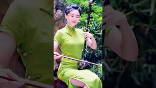 The Skill of the Beautiful Master Zhao Luyu Playing a Difficult Traditional Chinese Music on Erhu [upl. by Sirroned222]