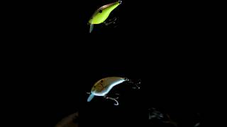 OG Rocco™ 5 vs Rapala® OG Tiny™ 4  Underwater [upl. by Mayap171]