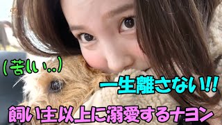 モモの愛犬ブーに溺愛しまくるナヨンが面白すぎる美味しくなさそうな食べ方のチェヨン [upl. by Castera]