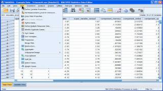 Select Cases  SPSS part 1 [upl. by Lory285]