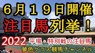 【注目馬列挙・平場予想】2022年6月19日JRA平場特別戦！遂に迎えるMakeDebut！響けファンファーレ！ [upl. by Faustus969]