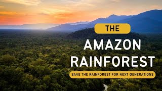 The Amazon Rainforest  Save the Rainforest for Next Generations  Hindi Infinity Stream [upl. by Tenay477]