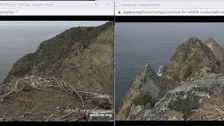 Two Harbors and West End Eagle Cams [upl. by Lesli]