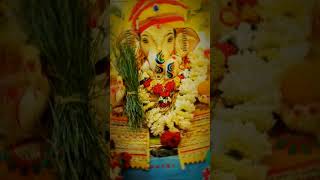 Bappa morya morya morya re bappa morya morya morya reytshortsvideo ganpati ganpatibappamorya gaj [upl. by Etnovad]