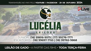 LUCÉLIA LEILÕES  LEILÃO DE GADO  AO VIVO  29102024  100  Pesados no Recinto [upl. by Robbyn804]