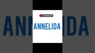 ANNELIDA [upl. by Niak]