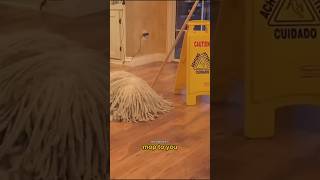 Is That a Mop or a Dog [upl. by Luana]