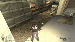 Lets Pay Max Payne 2 14  Part 2  Chapter 5  Out of the Window  Gameplay [upl. by Gnuoy]