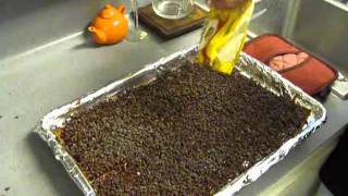 Chocolate toffee crackers [upl. by Malha]