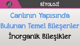 Canlının Yapısında Bulunan Temel Bileşenler  İnorganik Bileşikler [upl. by Bonny]