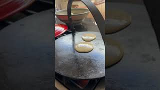 Life amp Nature Crumpets gqeberha inmygarden gardeningtips southafrica [upl. by Victorine]