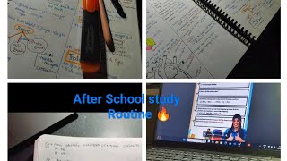 After school study routine as a CBSE 10 grader study  pw [upl. by Ytsirhk]