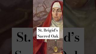 did St Brigid build her Kildare monastery on the site of a sacred Celtic grove folklore druids [upl. by Ahsaela982]