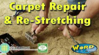 Best Carpet Repair Stretching amp Restretching Services in Fort lauderdale FL Call 8007321229 [upl. by Airlee746]