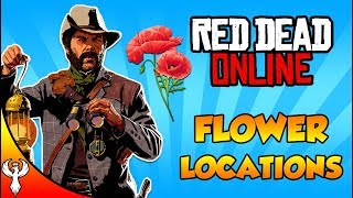 Red Dead Online  ALL American Wild Flower Locations for Cycles 13 Collector [upl. by Monteria266]