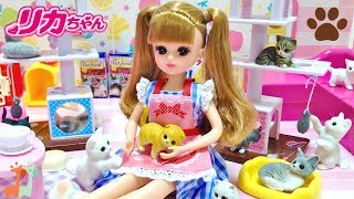 リカちゃん ネコカフェ お店屋さんごっこ キャットタワー  Liccachan Cat Cafe Cat Tree Playset [upl. by Lexy]