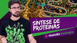 🔬 Citologia 37 Síntese Proteica  Biologia  ENEM [upl. by Eeliah]