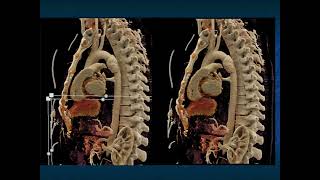 You Make the Call Freestyle Radiology Quiz 12 [upl. by Norved964]