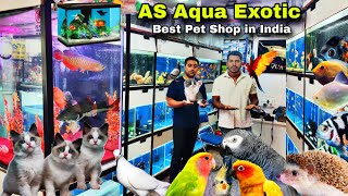 AS Aqua Exotic Aquarium Buy 12 fish ₹99 only  Turtles  Birds  Fish  Cats  Hamsters  Pigeons [upl. by Ennairoc47]