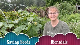 How Biennials Help You Save Seeds [upl. by Rekoob]