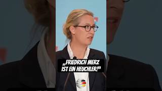 „Friedrich Merz ist ein Heuchler“  Alice Weidel AfD [upl. by Orson]