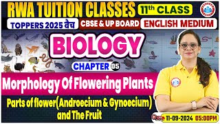 Class 11 Biology Chapter 5  Morphology Of Flowering Plants By Vandana Mam [upl. by Niret239]