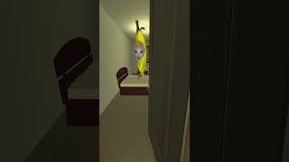 Pretending To Sleep Banana Cat gmod 🍌😺 [upl. by Eniluqcaj573]