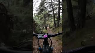 Tschilli Trail Vinschgau 🔥 Endlich gerockt endurogirl geilerboden girl mtb [upl. by Tracay]