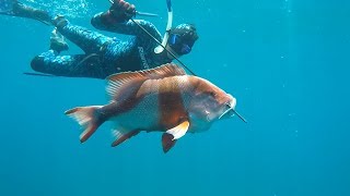 Spearfishing Western Australia Its a Life Style [upl. by Bartolemo]