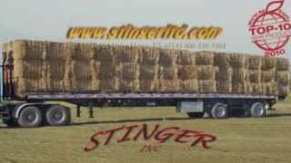 Stinger ALSS 2013 [upl. by Budwig60]