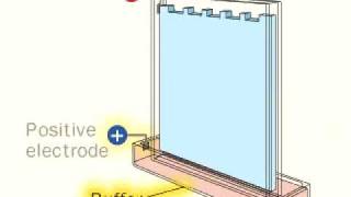 Gel Electroforesisflv [upl. by Roselyn]