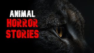 Animal Horror Stories Compilation [upl. by Assillem]