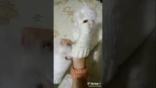 Crochet gloves 🧤جوانتي كروشية هاندميد crochet اكسبلور [upl. by Atinaj]