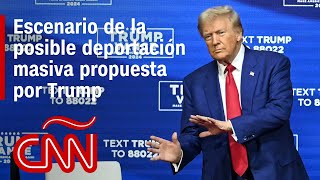 ANÁLISIS  Escenario de la posible deportación masiva propuesta por Trump [upl. by Waverly]