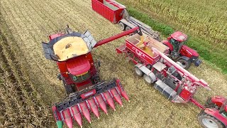 Making Corn Cob Mix  CASE IH 8240 Axial Flow  DEWA maalmolen  Bart Sprangers  Mais dorsen [upl. by Lalat]