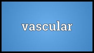 Vascular Meaning [upl. by Anirbes]