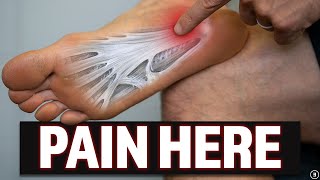 Plantar Fasciitis Education  Myths  Stretching amp Strengthening Exercises [upl. by Fleisig317]