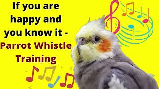 If you are happy and you know it  cockatiel singing training  Bird Whistle Training [upl. by Nylanaj]