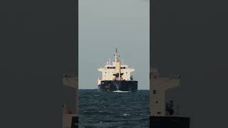 TRANSMERIDIAN Bulk Carrier ships BulkCarrier bulker shorts [upl. by Nortal]