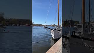 Strandvagen in Stockholm Sweden boatspotting strandvagen [upl. by Merna]