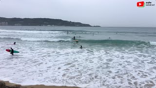 SURFING HENDAYE  Surflariak  La Chine Spot Basque Complet  Euskadi Surf TV [upl. by Swee]